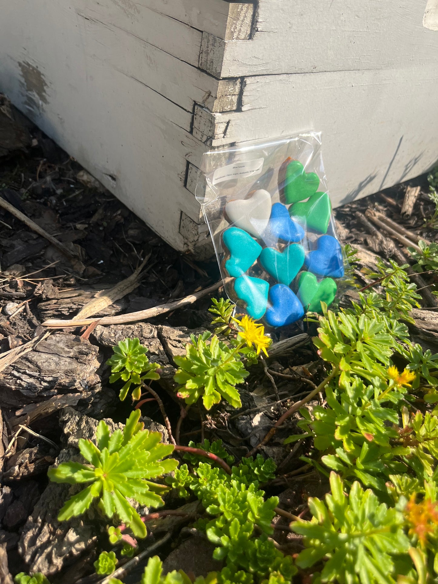 Blue and Green Mini Hearts