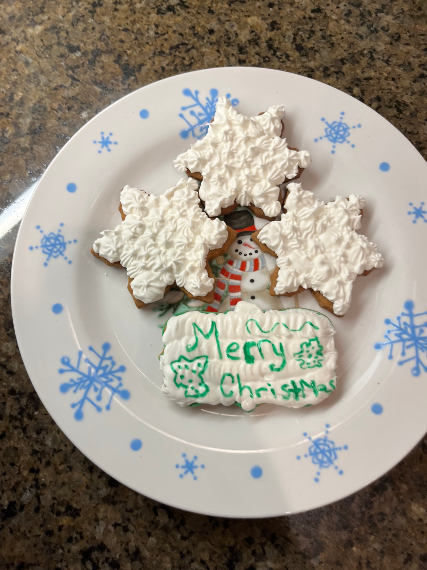 Merry christmas snow pack