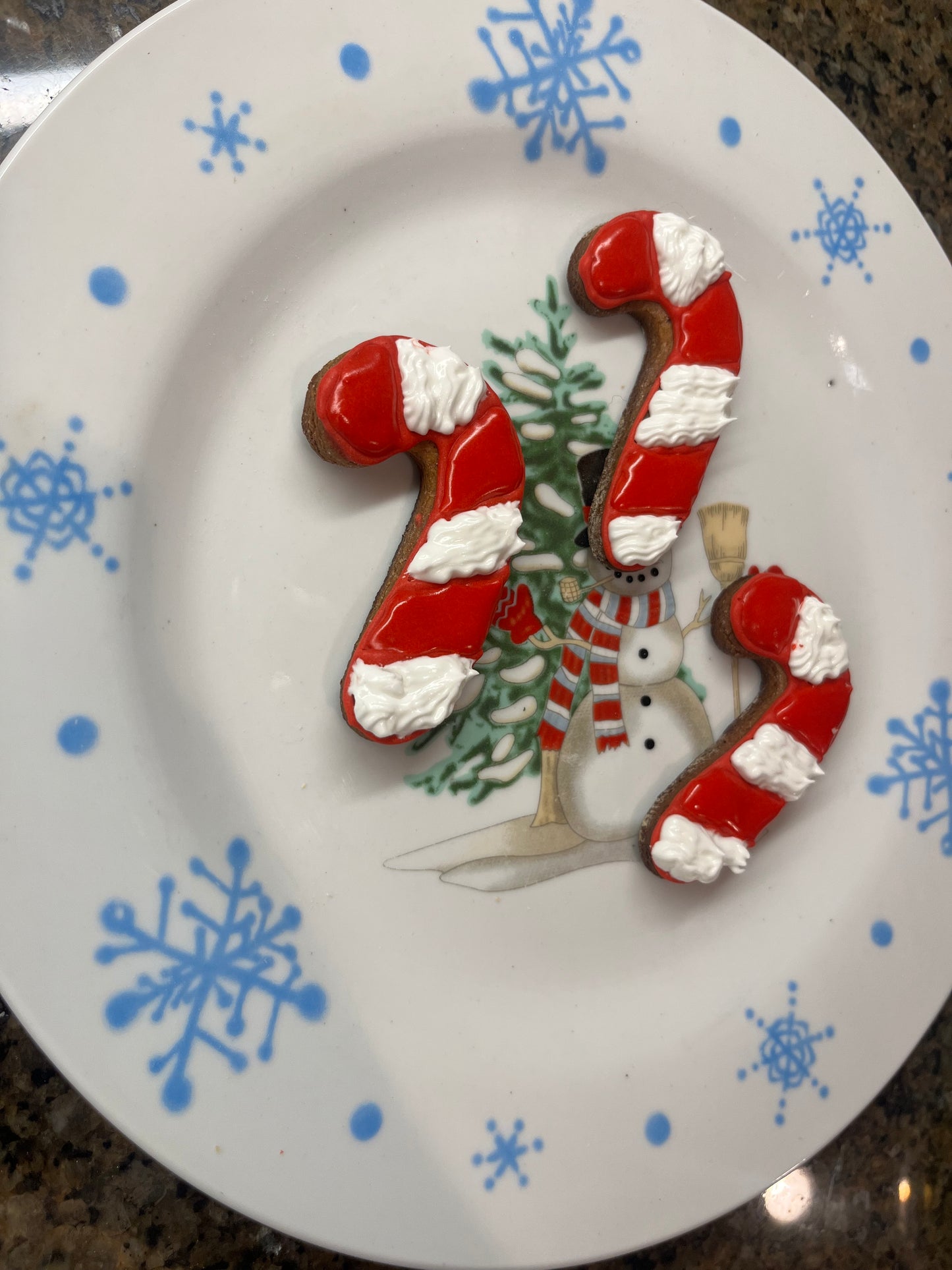 Christmas Candy Canes