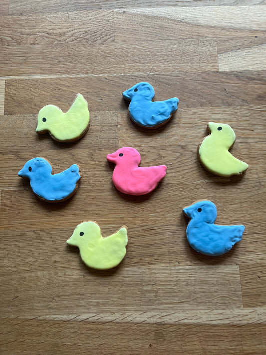 Duckie Delights